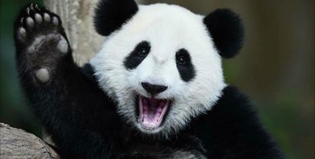 三色灯程序怎么写蜂鸣器怎么消音呢 三色灯程序怎么写蜂鸣器怎么消音呢西门子1200PLC编程入门必会plc 编程 自动化 电工