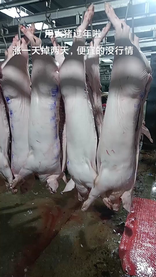 猪后腿整只