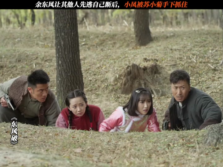 连续剧《东风雨》