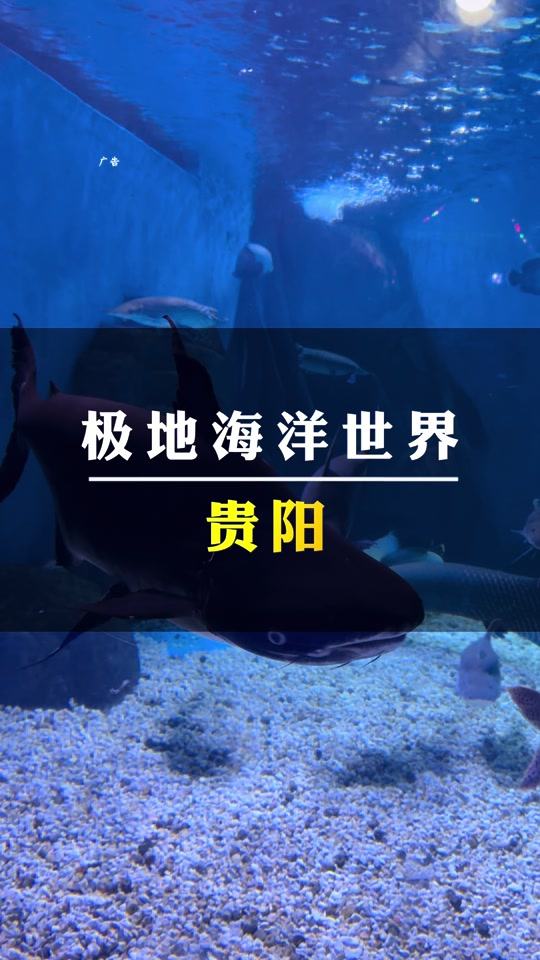 龙洞堡海底世界