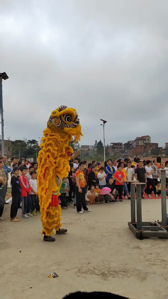 文车醒狮团长杨敖怎么了 - 抖音