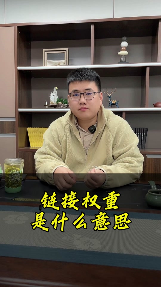 权重的意思是什么=何为权重?权重的作用?