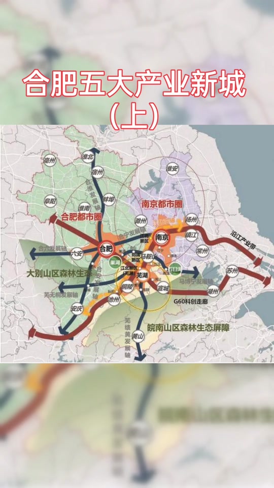 2024年庐江台创园常丰村会拆迁吗 - 抖音
