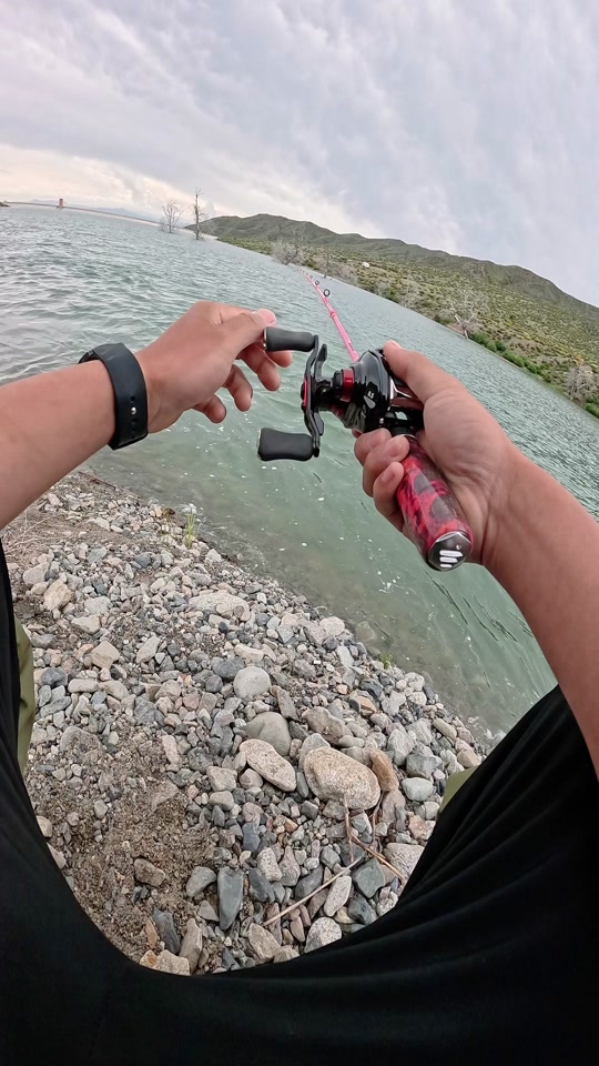 路亚 路亚虹鳟,手感太棒了,抢杆子的感觉.