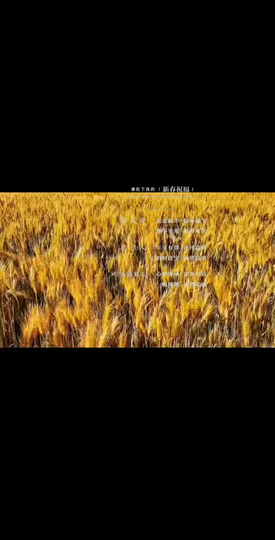 歌曲麦浪滚滚闪金光的曲谱