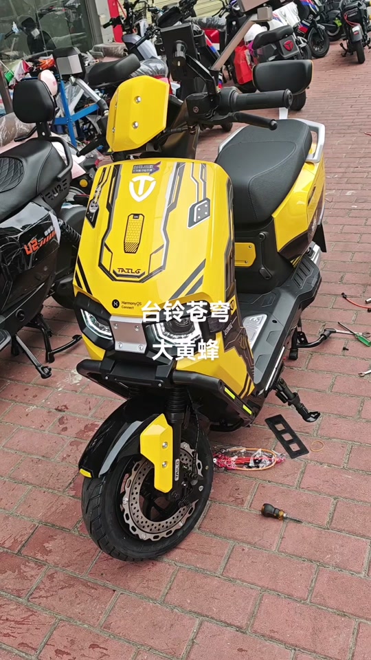 台铃大黄蜂竞速版1500w配置 - 抖音