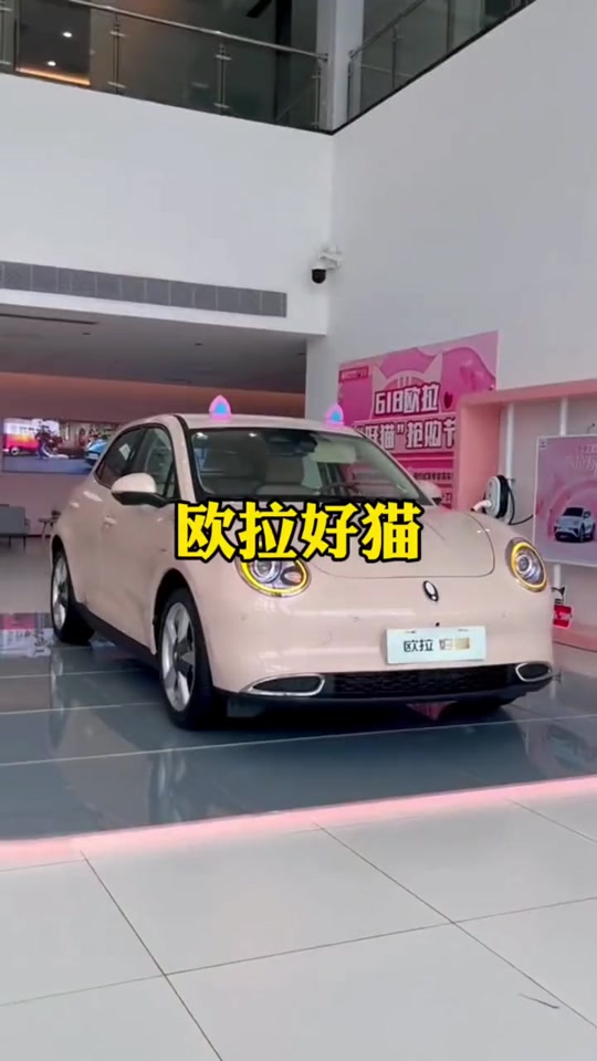 欧拉猫2024落地价 - 抖音