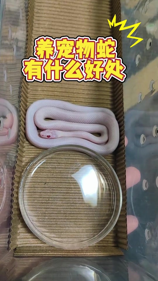 虺抖音=汇都银行