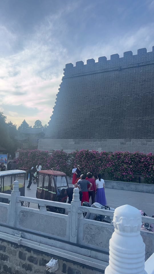 邢台劳模公园蔷薇花