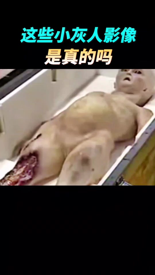 解密里的黑密是谁出的