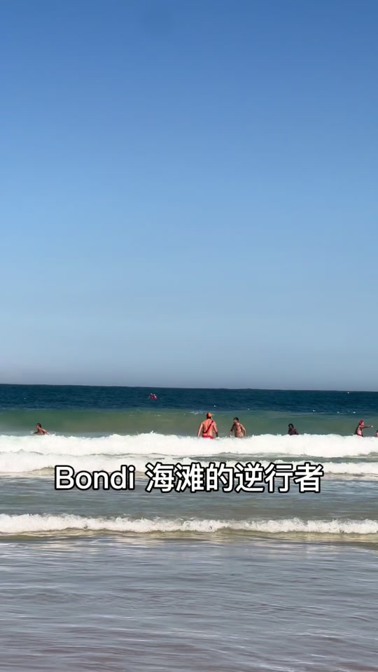 海滩救生员_黑猴子海滩救生员游戏_黑猴子海上救生员训练 - 抖音