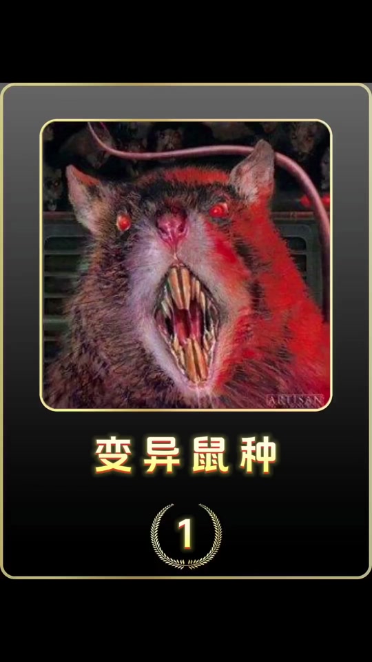 老鼠给什么变异 - 抖音