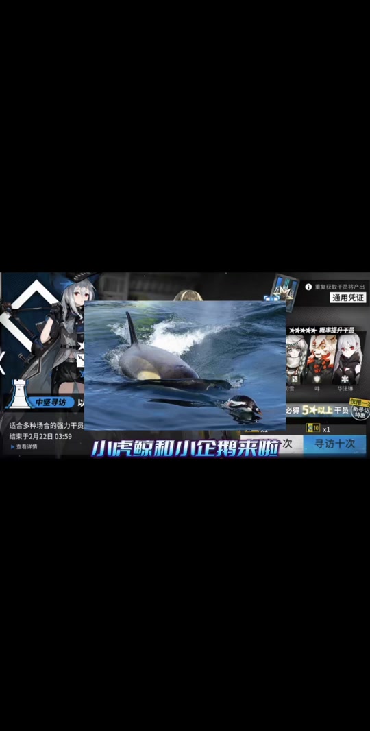明日方舟2024五周年有六星自选吗 - 抖音