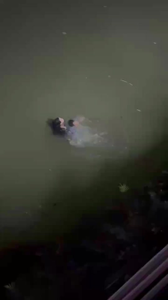 广西都安县女子故意两次跳河,民警两次救人,导致民警牺牲.