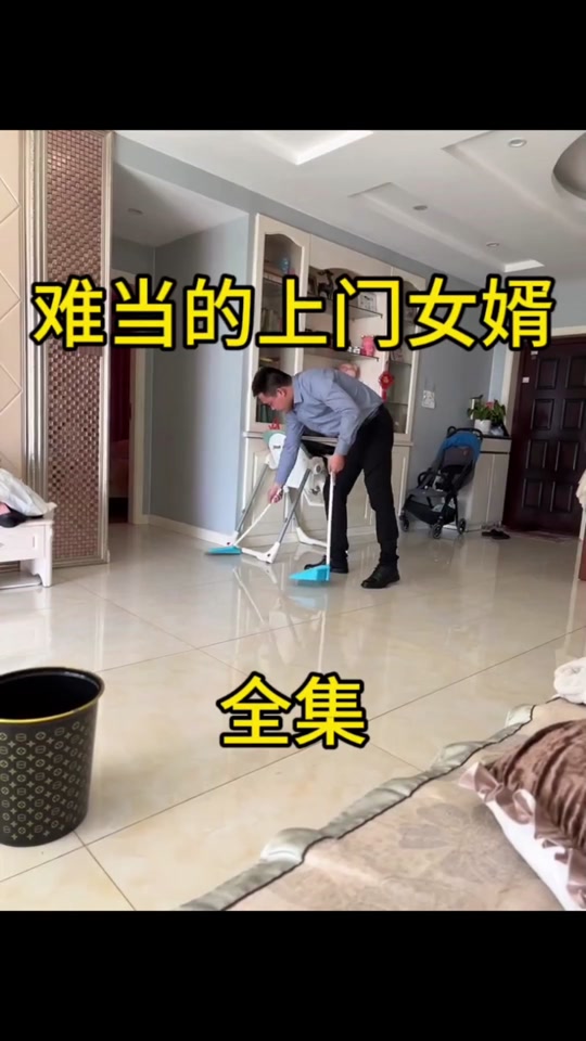 岳父岳母真难当影评