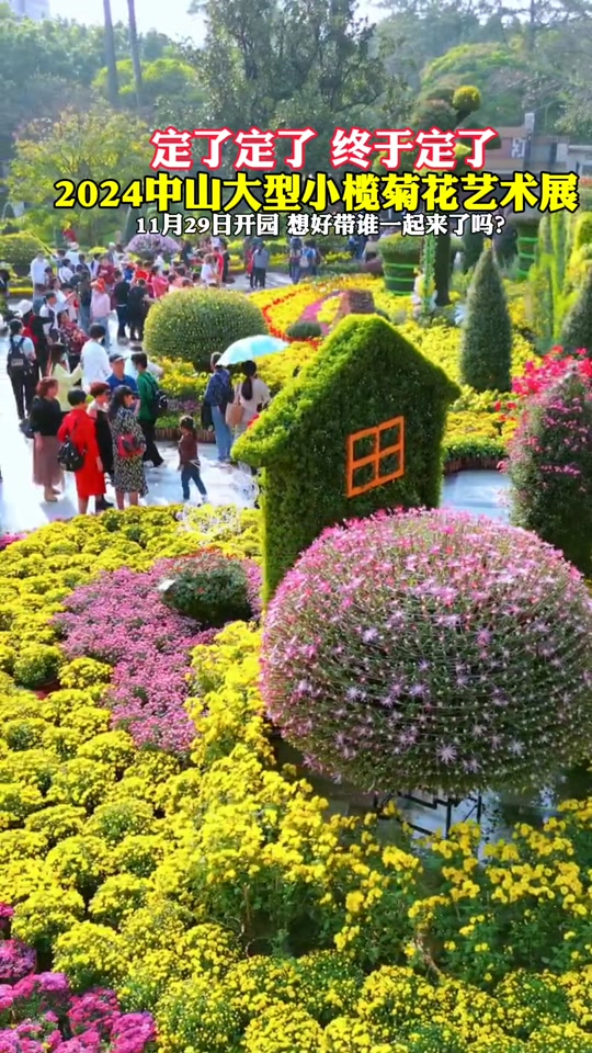 小榄菊花展2024年搞了几次 - 抖音