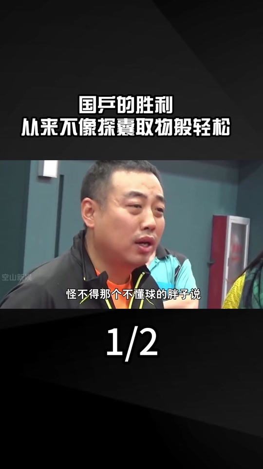 刘国梁观看樊振东和张本智和比赛了吗 - 抖音