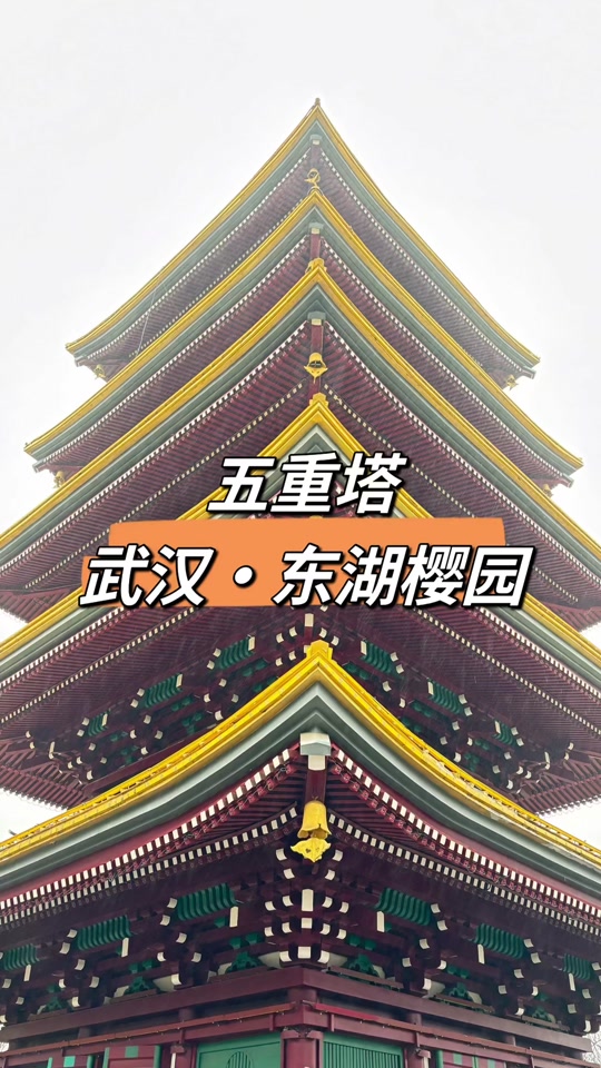 武汉东湖樱花五重塔在哪 - 抖音