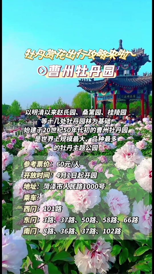 菏泽的牡丹园2024开放时间 - 抖音