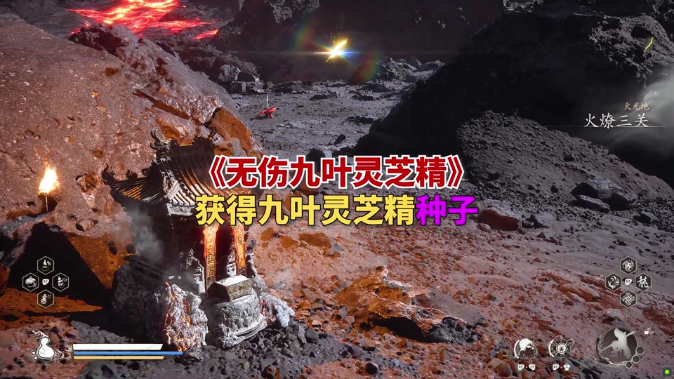 九叶灵芝，九叶灵芝草在哪刷