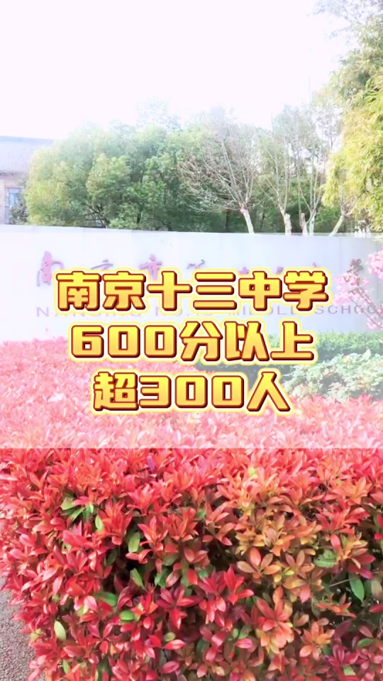 今年十三中高考成绩名单 - 抖音