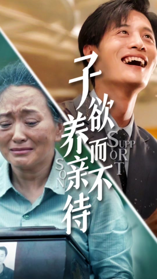 百亿好剧好看计划子欲养而亲不待 - 抖音