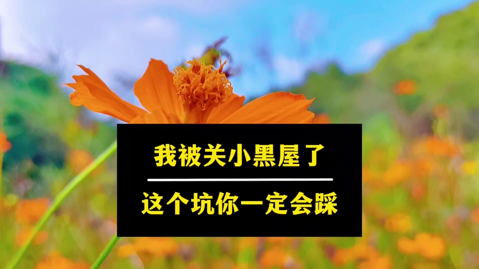 游戏关小黑屋是什么意思 - 抖音