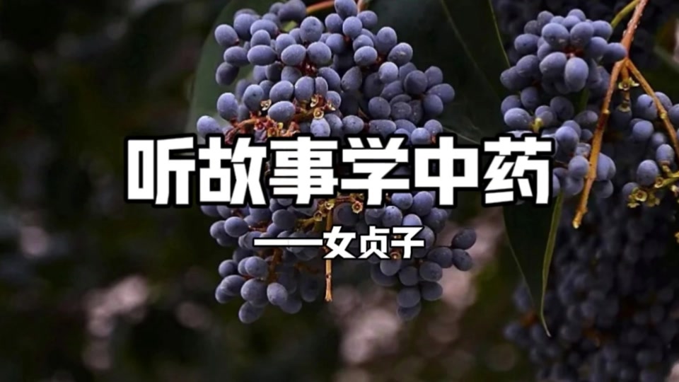 女贞子怀孕_只要胆子大贞子怀孕