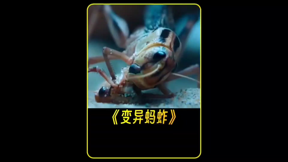 变异是什么效果玩蚂蚱 - 抖音