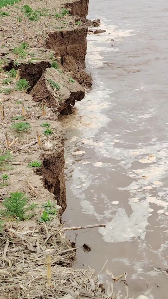 黄河滩踩泥越来越软挖开是什么样子
