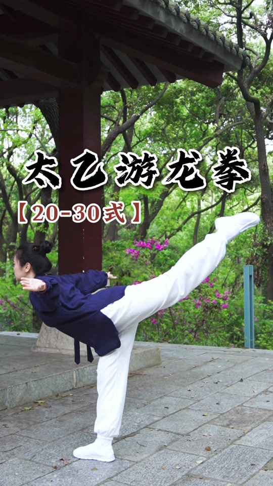 李丹游龙拳教学