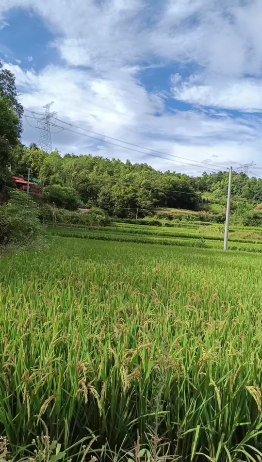 山西运城绛县冷口乡是个风大而冷的福地