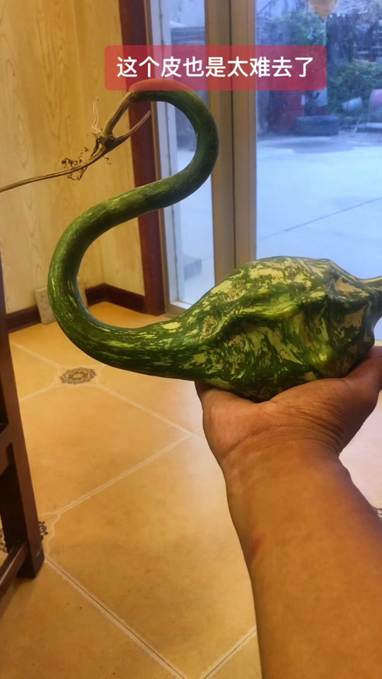 鹤首葫芦打皮