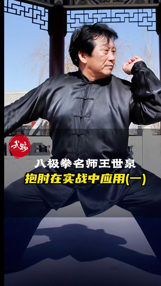 八极拳闭地肘起手