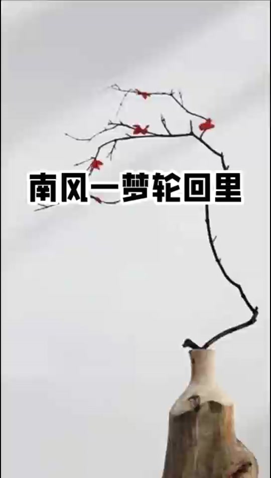 恶虐轮回和蔷薇一梦简介_《蔷薇一梦》_噩虐轮回和蔷薇一梦日语 - 抖