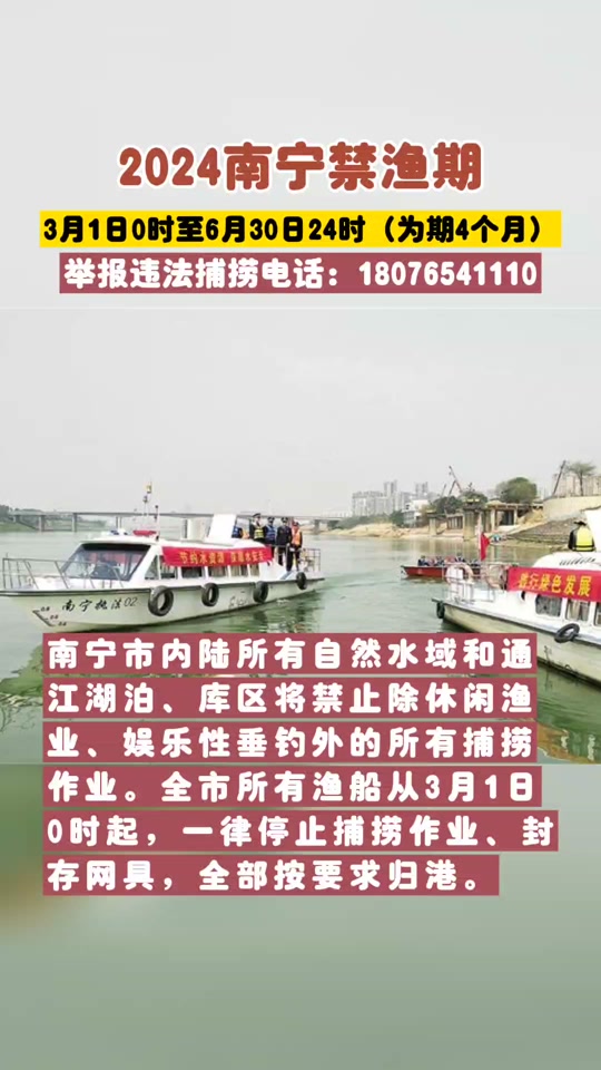 2024鳗苗最新捕捞几月结束季 - 抖音