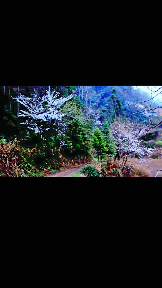 建始谭兴华道士做斋全过程 - 抖音
