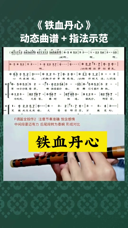 铁血丹心笛子简谱 歌谱