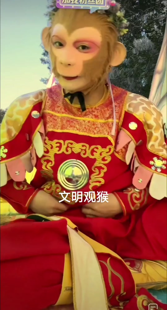 文明观猴表情包