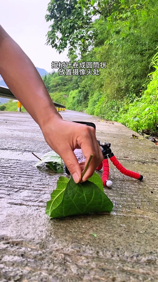 创意摄影拍摄视频教程的简单介绍
