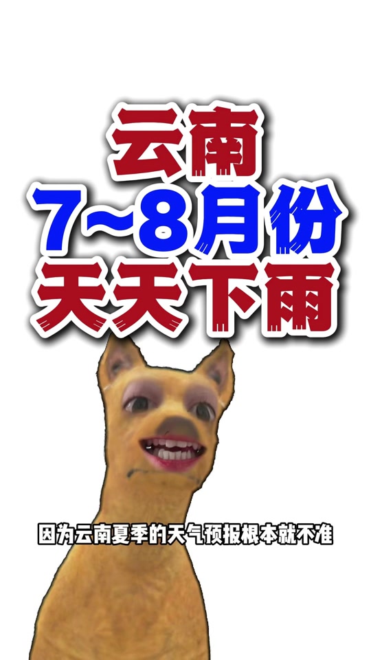 天气预报小游戏怎么玩