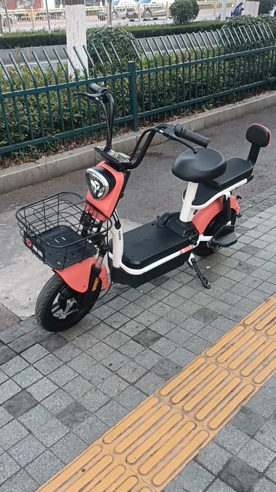 雅迪乐骑可以装48v20电池吗 - 抖音