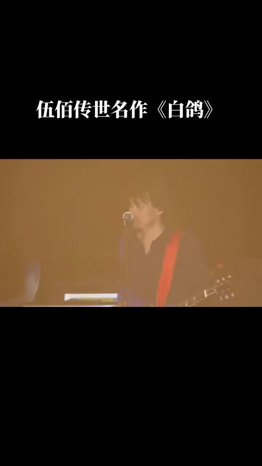 抖音白鸽白鸽=抖音白鸽歌词完整版