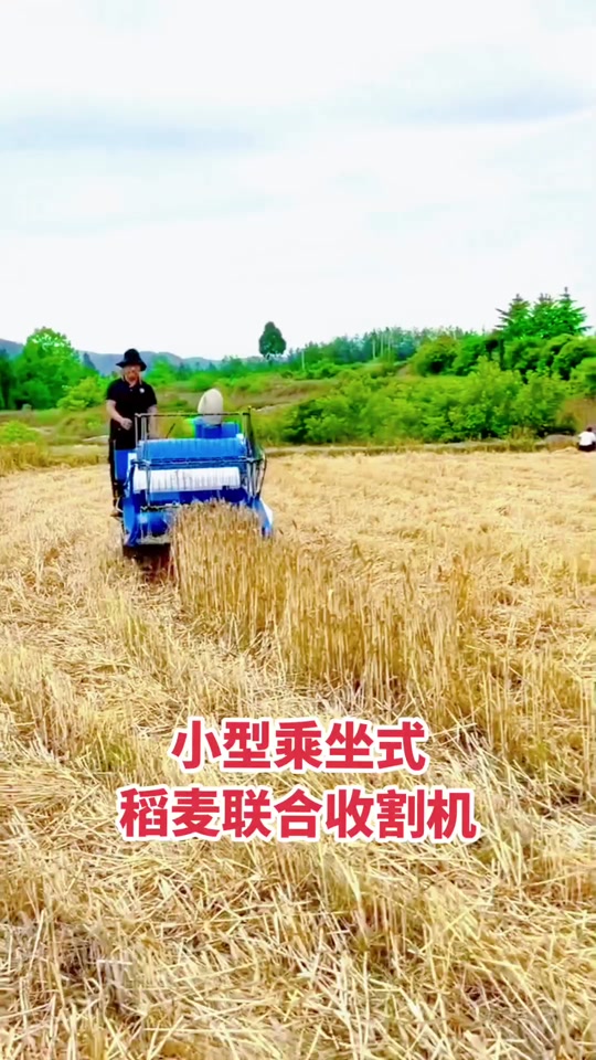 小型水稻小麦收割机 - 抖音