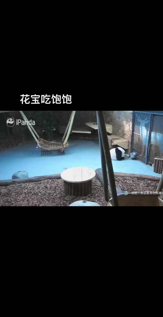 抖音花宝=花宝宝贷款