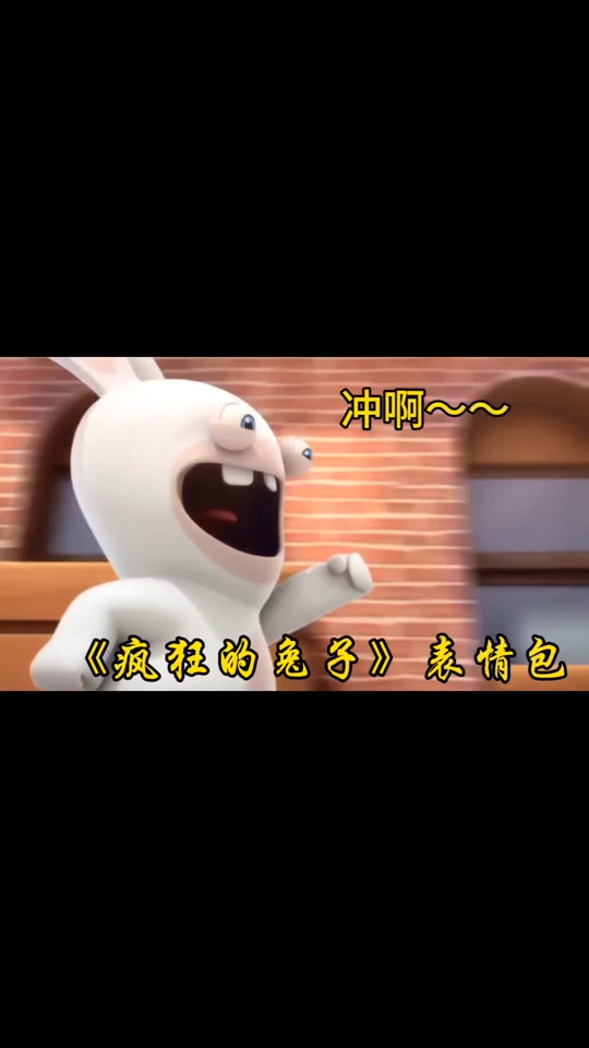 兔子配对三秒表情_兔子三秒表情包_兔子三秒动图 - 抖音