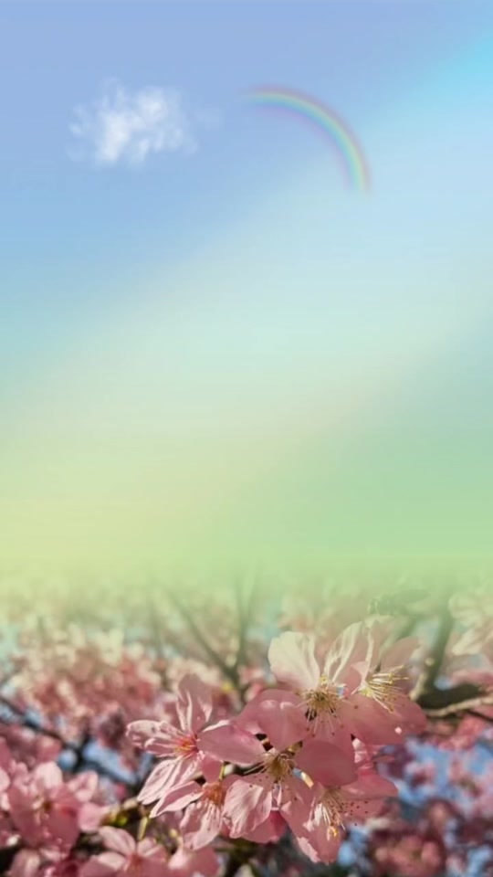 ppt 背景 壁纸 电脑桌面 发芽 绿色 绿色植物 嫩芽 嫩叶 新芽 植物