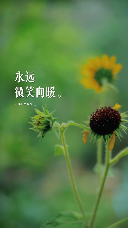 微笑向暖一路前行