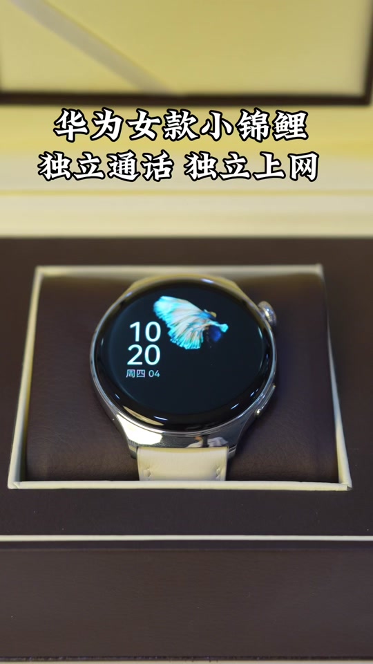 华为锦鲤表盘 - 抖音