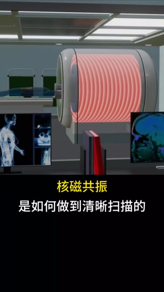 磁共振的原理动画演示